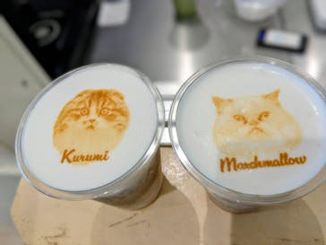 Cat Café MOFF グランベリーパーク店に投稿された画像（2025/8/19）