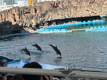 名古屋港水族館に投稿された画像（2025/8/19）