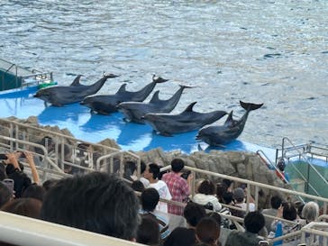 名古屋港水族館に投稿された画像（2025/8/19）