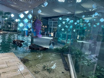 NIFREL（ニフレル）に投稿された画像（2025/8/19）