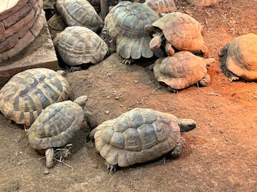 体感型動物園iZooに投稿された画像（2025/8/19）