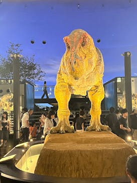 福井県立恐竜博物館に投稿された画像（2025/8/19）