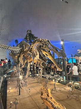 福井県立恐竜博物館に投稿された画像（2025/8/19）