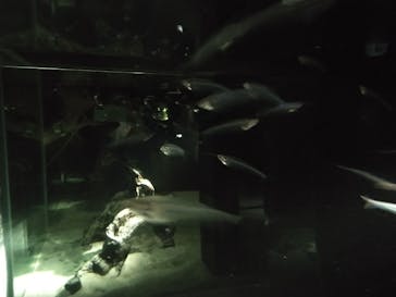 NIFREL（ニフレル）に投稿された画像（2025/8/19）