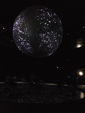 NIFREL（ニフレル）に投稿された画像（2025/8/19）