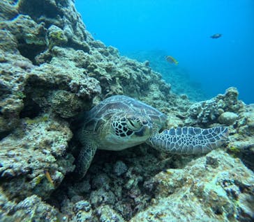 アイナ石垣島に投稿された画像（2025/8/19）