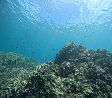 アイナ石垣島に投稿された画像（2025/8/19）