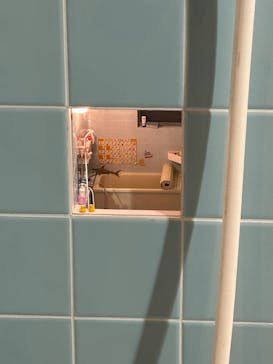 Mozuミニチュア展　ようこそ、ちいさな世界へ in 須賀川に投稿された画像（2025/8/19）