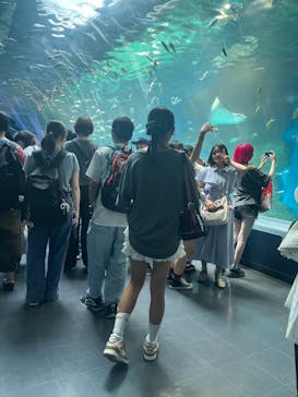 マクセル アクアパーク品川に投稿された画像（2025/8/19）