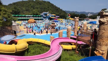 日本モンキーパークに投稿された画像（2025/8/19）