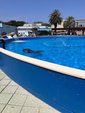 南知多ビーチランド＆南知多おもちゃ王国に投稿された画像（2025/8/19）