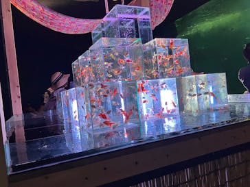 南知多ビーチランド＆南知多おもちゃ王国に投稿された画像（2025/8/19）