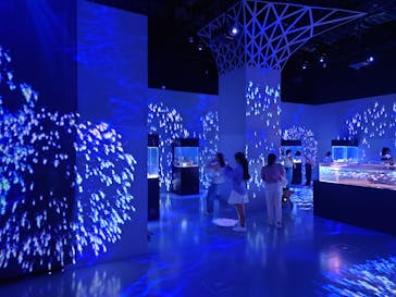 マクセル アクアパーク品川に投稿された画像（2025/8/19）