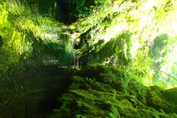 多摩川ラフティングwinds（ウィンズ）に投稿された画像（2025/8/19）