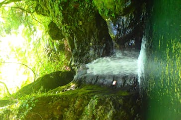 多摩川ラフティングwinds（ウィンズ）に投稿された画像（2025/8/19）