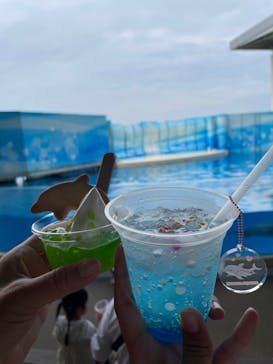 新江ノ島水族館に投稿された画像（2025/8/19）