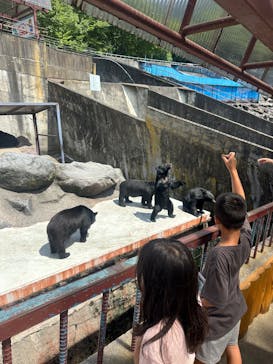 奥飛騨クマ牧場に投稿された画像（2025/8/19）