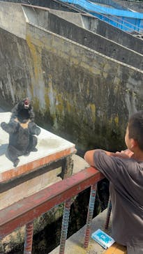 奥飛騨クマ牧場に投稿された画像（2025/8/19）