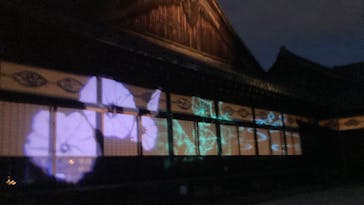 NAKED meets 二条城 2025 観月に投稿された画像（2025/8/19）