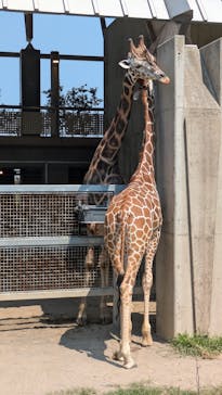 霞ケ浦 どうぶつとみんなのいえに投稿された画像（2025/8/19）