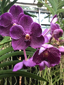 沖縄美ら海水族館に投稿された画像（2025/8/19）