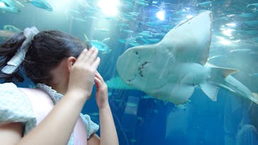 マクセル アクアパーク品川に投稿された画像（2025/8/19）