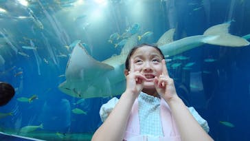 マクセル アクアパーク品川に投稿された画像（2025/8/19）