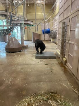 名古屋市東山動植物園に投稿された画像（2025/8/19）