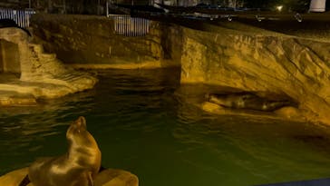 名古屋市東山動植物園に投稿された画像（2025/8/19）