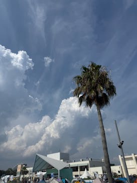 稲毛海浜公園（SUNSET BEACH PARK INAGE）に投稿された画像（2025/8/19）