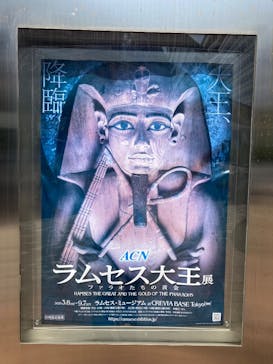 ACN ラムセス大王展 ファラオたちの黄金に投稿された画像（2025/8/19）