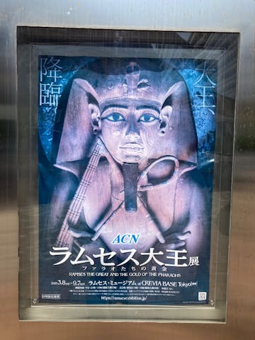 ACN ラムセス大王展 ファラオたちの黄金の口コミ ｜時間指定で