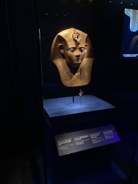 ACN ラムセス大王展 ファラオたちの黄金に投稿された画像（2025/8/19）