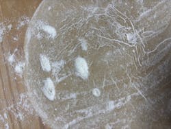 日本そば打ち名人会 江戸川工房に投稿された画像（2025/8/19）