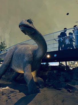 福井県立恐竜博物館に投稿された画像（2025/8/19）