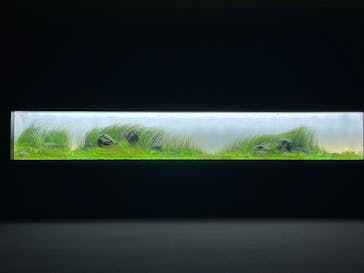 AOAO SAPPOROに投稿された画像（2025/8/19）