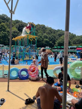 日本モンキーパークに投稿された画像（2025/8/19）