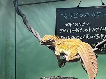 サンシャイン水族館に投稿された画像（2025/8/19）