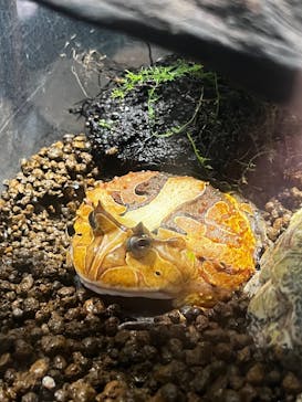 サンシャイン水族館に投稿された画像（2025/8/19）