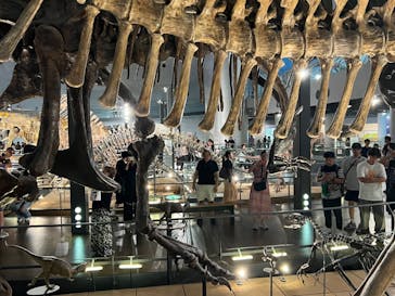 福井県立恐竜博物館に投稿された画像（2025/8/19）