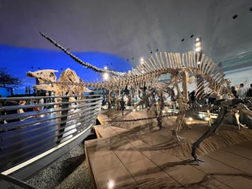福井県立恐竜博物館に投稿された画像（2025/8/19）