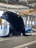アクアワールド茨城県大洗水族館に投稿された画像（2025/8/19）