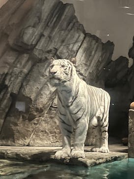 NIFREL（ニフレル）に投稿された画像（2025/8/19）