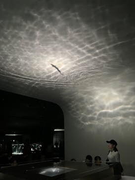 NIFREL（ニフレル）に投稿された画像（2025/8/19）