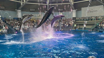 マクセル アクアパーク品川に投稿された画像（2025/8/19）