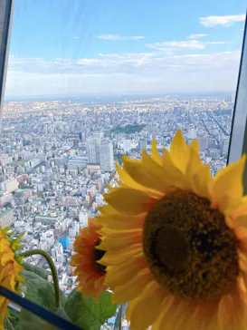 東京スカイツリーに投稿された画像（2025/8/19）