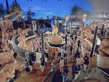 福井県立恐竜博物館に投稿された画像（2025/8/19）