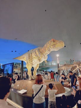 福井県立恐竜博物館に投稿された画像（2025/8/19）