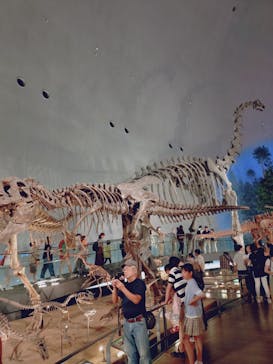 福井県立恐竜博物館に投稿された画像（2025/8/19）