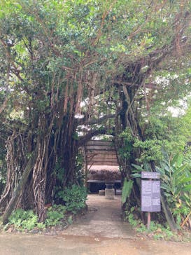 琉球村に投稿された画像（2025/8/19）